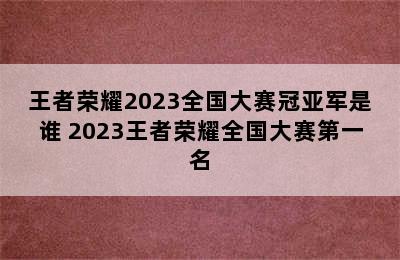 王者荣耀2023全国大赛冠亚军是谁 2023王者荣耀全国大赛第一名